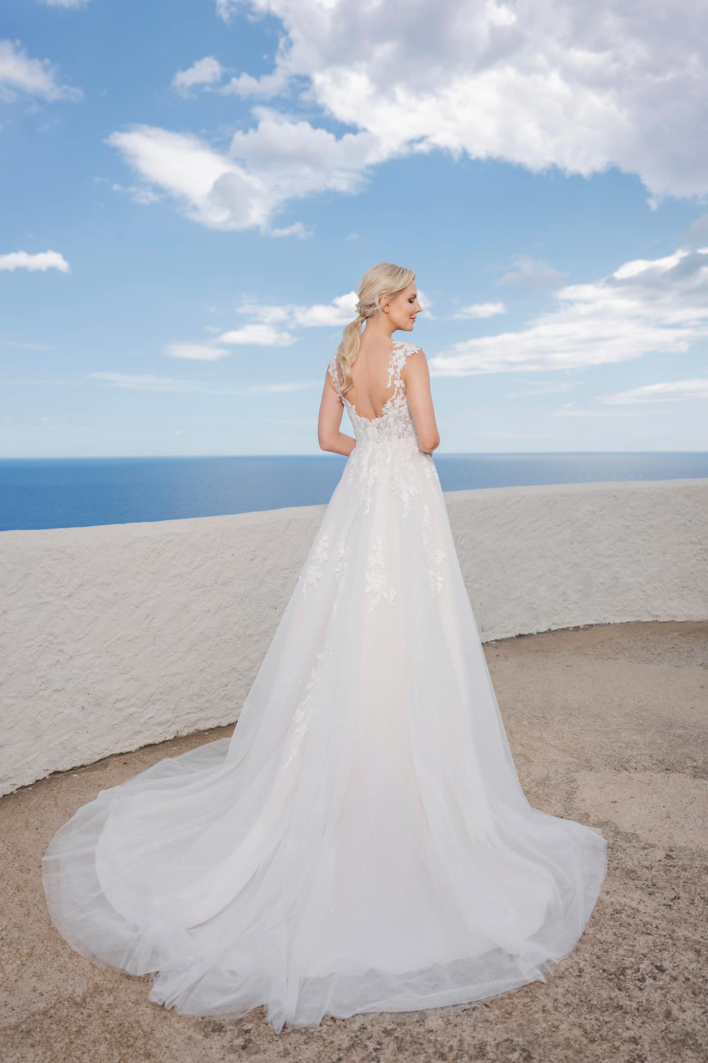 B2404 Amera Vera Brautkleid bei VeRina Brautmoden in Hille Rothenuffeln Tüllkleid breite Träger runder Rückenausschnitt Spitze Glitzer (3)