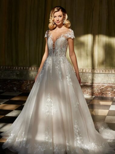 De Luxe 50800 Brautkleid diane Legrand bei Verina Brautmoden in Hille Rothenuffeln Tüllkleid fließende Spitz Spitzenapplikationen im Rock tiefer Ausschnitt (2)