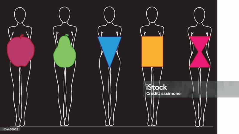 Women Body Shapes